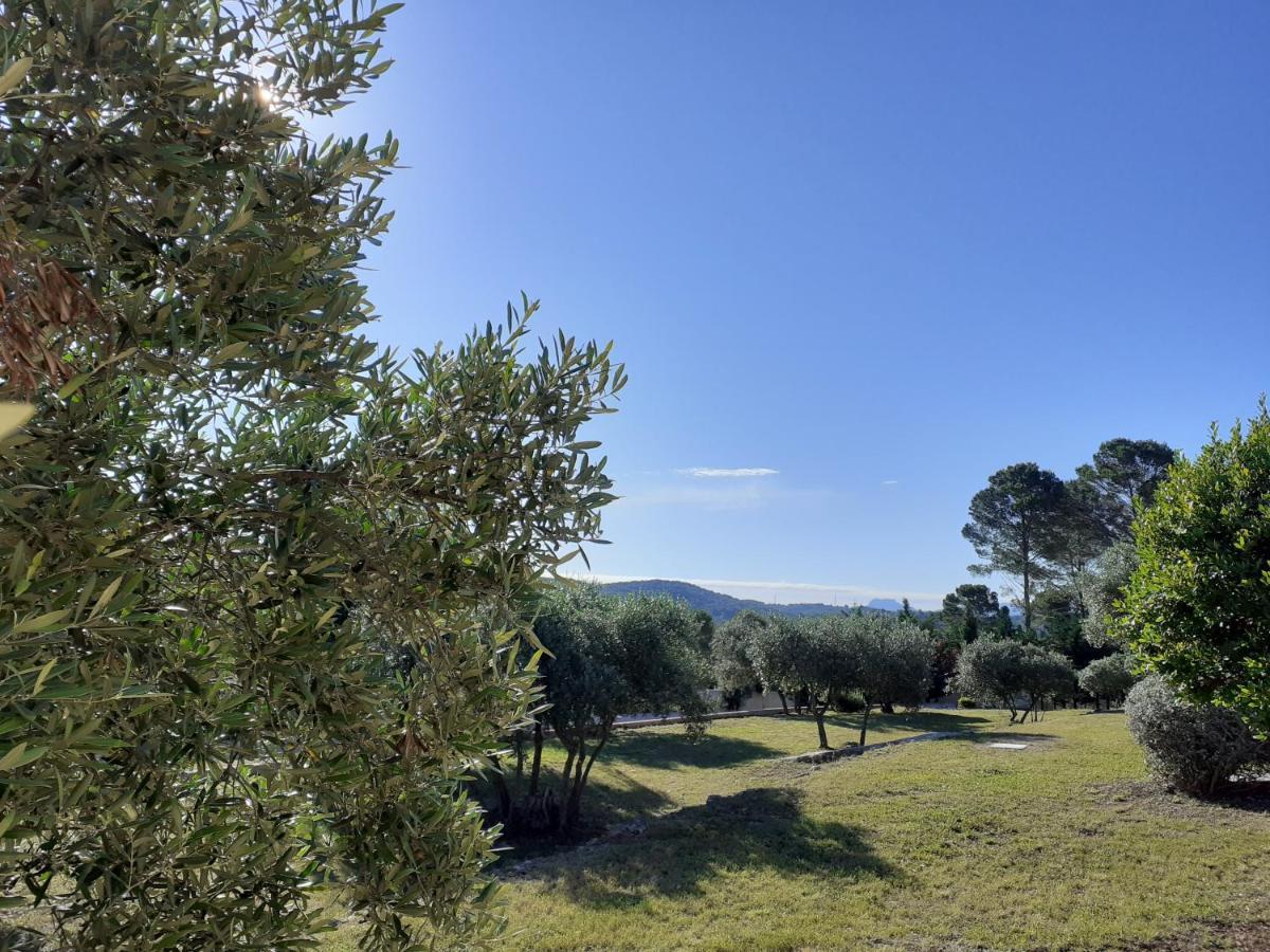 Bed and Breakfast La Bastide Des Selves Драгиньян Экстерьер фото